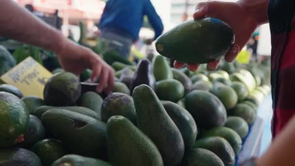 Mulher Escolhe Abacate Legumes Mercado Rua Agricultores Zero Desperdício Conceito — Vídeo de Stock