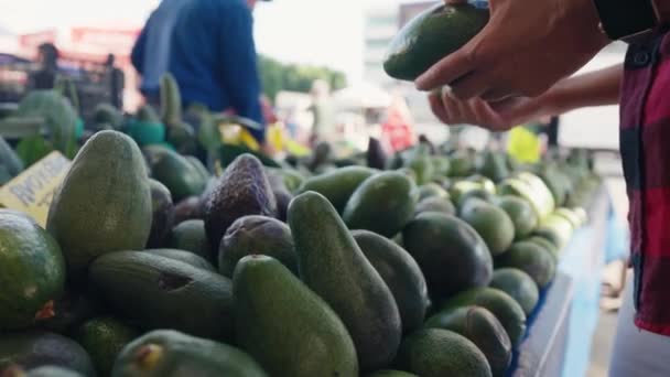 Mulher Escolhe Abacate Legumes Mercado Rua Agricultores Zero Desperdício Conceito — Vídeo de Stock