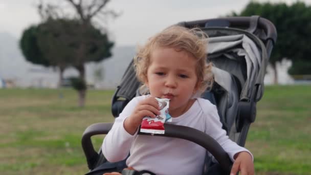 Mały Chłopiec Czekoladę Szczęśliwe Dziecko Słodycze Wózku Dziecięcym Wysokiej Jakości — Wideo stockowe