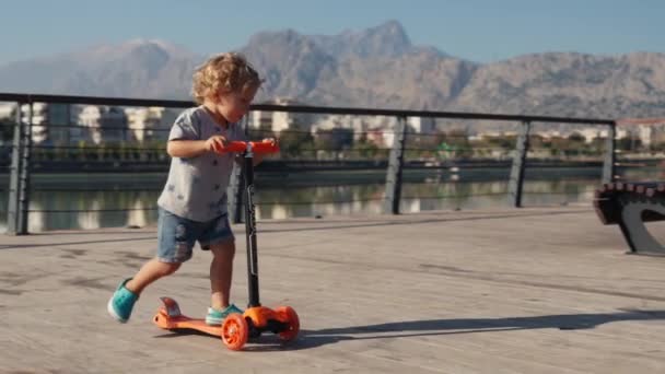 Little Boy Kick Scooter Park Preschool Kid Learn Skate Roller — Stock Video
