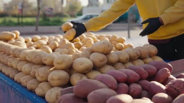 Ręce Rolników Pokazujące Stertę Świeżych Surowych Ziemniaków Zebranych Lokalnym Rynku — Wideo stockowe