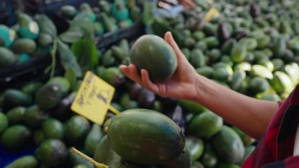 Jovem Mulher Escolhendo Abacates Supermercado Vegan Zero Waste Girl Comprando — Vídeo de Stock