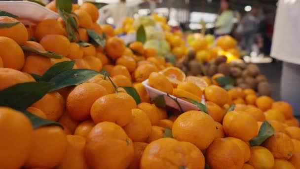 Mandarinskörd Tangeriner Tangerinskörd Högkvalitativ Film — Stockvideo
