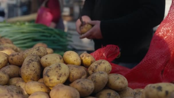 Agricultores Mãos Mostrando Montão Batatas Cruas Frescas Colhidas Mercado Local — Vídeo de Stock
