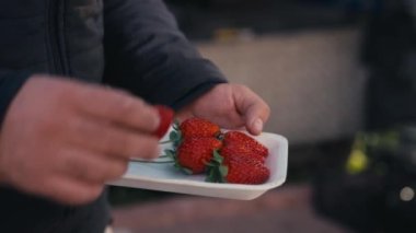 Çiftçilerin elleri organik çilek topluyor. Taze organik çilek topluyorum. Çilekli yakın çekim, ev bahçesi hasadı, sağlıklı yiyecekler. Yüksek kalite 4k görüntü