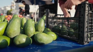 Çiftçi pazarında taze organik avokado. Kapanış vuruşu, 4K. Yüksek kalite 4k görüntü