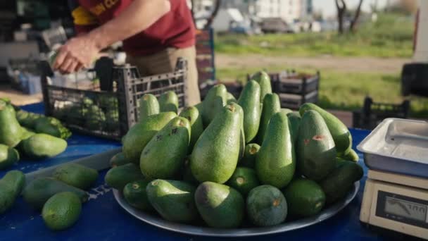 Çiftçi Pazarında Taze Organik Avokado Kapanış Vuruşu Yüksek Kalite Görüntü — Stok video