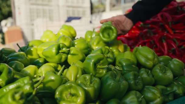 Πράσινο Κίτρινο Και Red Bell Peppers Για Πώληση Μια Λαϊκή — Αρχείο Βίντεο