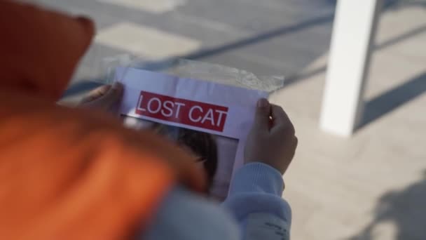 Schoolboy Putting Missing Pet Banners — Stock Video
