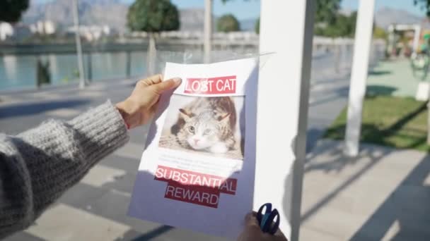 Lady Hangs Poster Missing Cat — Vídeo de stock