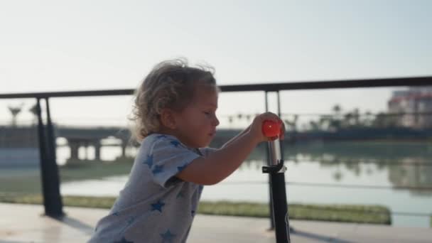 Kleiner Junge Fährt Tretroller Park — Stockvideo