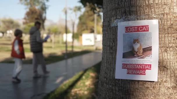 Два Мальчика Развешивают Пропавшие Баннеры Животными Кот Потерялся Большом Городе — стоковое видео