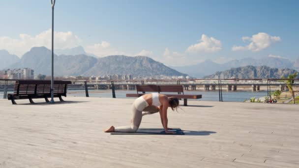 Beyaz Tenli Güzel Kadın Parkta Yoga Yapıyor Sağlıklı — Stok video
