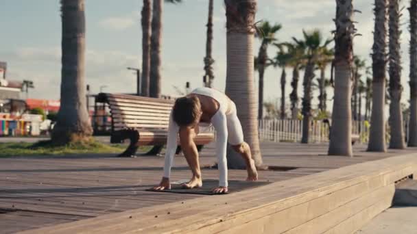 Jeune Femme Faisant Yoga Plein Air Exercices Sportifs Concept Bien — Video