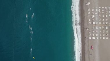 Kütle açık denizde yüzmeye başlar. Yüksek kalite 4k görüntü