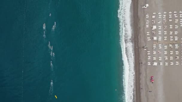 Kütle Açık Denizde Yüzmeye Başlar Yüksek Kalite Görüntü — Stok video