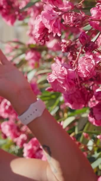 一个年轻的女孩喜欢早上在花丛中训练 一个快乐的人做瑜伽的概念 是的高质量的4K镜头 — 图库视频影像