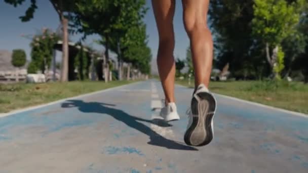 Vrouw Runner Atleet Benen Joggen Running Fitness Levensstijl Vroege Ochtend — Stockvideo