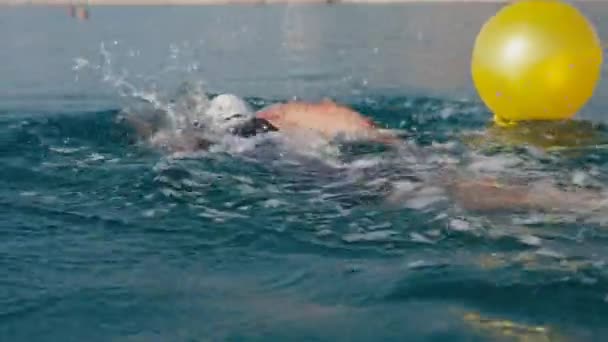 Triatloncu Spor Yüzme Antrenmanı Triatloncu Yüzme Dayanıklılık Spor Yarışması Yüzme — Stok video