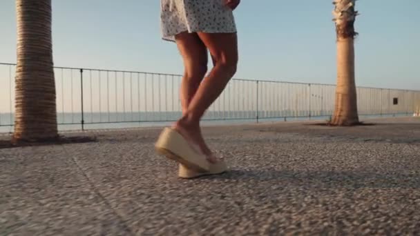 Seksi Bacaklı Kısa Elbiseli Neşeli Bir Genç Kadın Gezinti Güvertesinde — Stok video