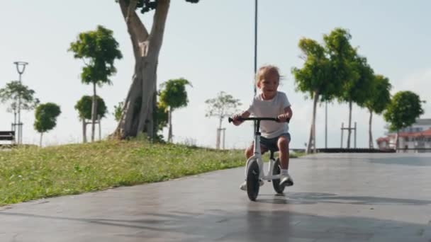 自然の中で公園で自転車に乗っている子供の幸せな陽気さ バランスバイクに乗ることを学ぶ小さな少年 自転車に乗った子供 高品質の4K映像 — ストック動画