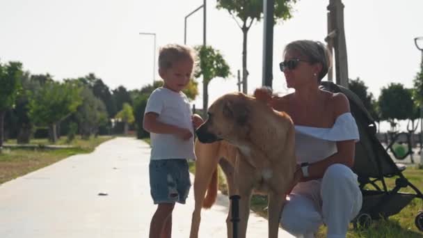 路上で歩いている野良犬と遊ぶ息子と幸せな母親 — ストック動画