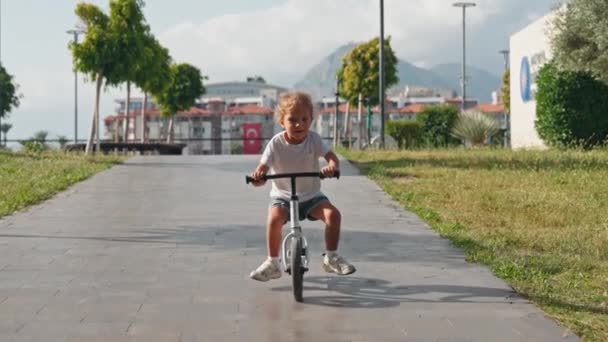 Criança Alegre Feliz Que Monta Uma Bicicleta Parque Natureza Menino — Vídeo de Stock