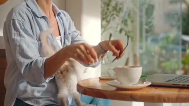 Joven Mujer Sonriente Cafetería Con Lindo Gato Pequeño Sentado Mesa — Vídeos de Stock