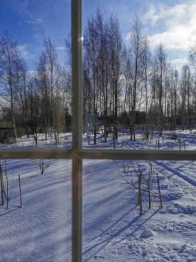 A serene winter landscape viewed through a window with clear blue skies and bare trees casting long shadows on the snow-covered ground. This image captures the calm of a sunny winter day and can be used for themes related to winter, tranquility. clipart