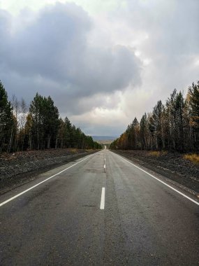 Ufuk çizgisine uzanan ıssız bir yol bulutlu bir gökyüzünün altındaki ağaçlarla çevrilidir. Huzurlu ama dramatik bir seyahat sahnesi yakalar, özgürlük, yolculuk ya da yolculuk teması için uygun..