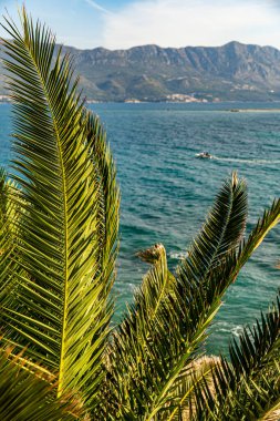 Göz kamaştırıcı bir kıyı manzarası kristal berrak mavi su, engebeli dağlar ve parlak bir gökyüzü. Huzurlu atmosfer onu seyahat ve doğayla ilgili içerik için mükemmel kılıyor..