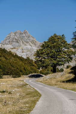 Açık mavi gökyüzünün altındaki engebeli kireçtaşı zirvelerine giden ormanlık bir vadiden geçen manzaralı dağ yolu. Seyahat, doğa, macera ya da açık hava keşfi temaları için ideal.