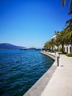 Porto Karadağ 'da palmiye ağaçları, sakin mavi Adriyatik Denizi ve demirli yatlarla lüks deniz kenarı gezinti alanı. Seyahat, turizm ve Akdeniz yaşam tarzı görsel kavramlar için ideal.