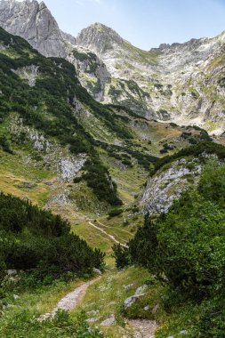 Dağlarla çevrili yemyeşil bir vadiden geçen dar yürüyüş yolları. Yürüyüş, keşif, doğa yolculuğu veya macera içeriği için mükemmel bir manzara..