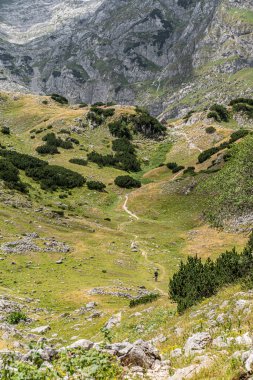 Dağlarla çevrili yemyeşil bir vadiden geçen dar yürüyüş yolları. Yürüyüş, keşif, doğa yolculuğu veya macera içeriği için mükemmel bir manzara..
