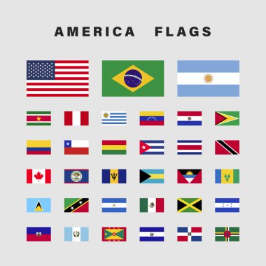 Set of America Flags with Rectangular Shape