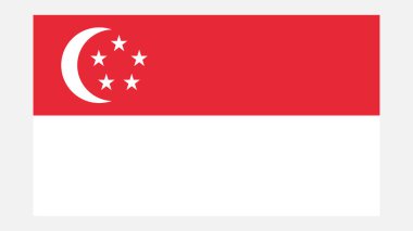 Orijinal Renkli SINGAPORE Bayrağı