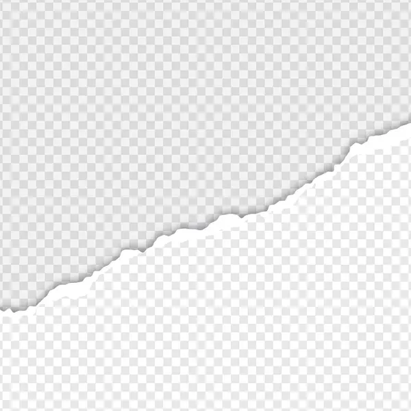 Saydam arka plan üzerinde yırtık kağıt