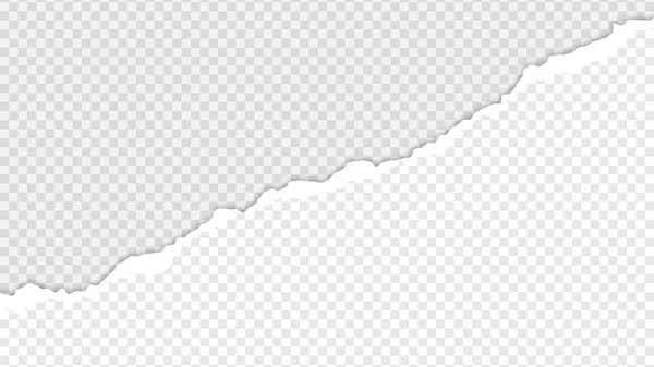 Saydam arka plan üzerinde yırtık kağıt