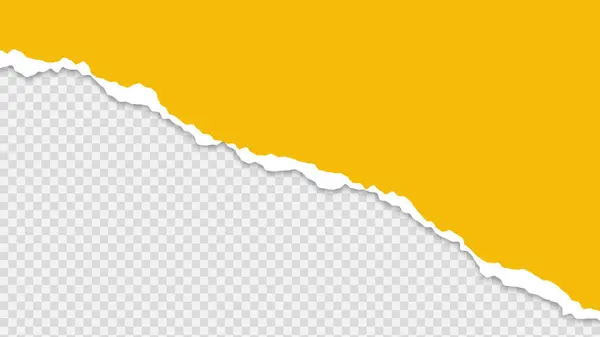 Saydam arka plan üzerinde yırtık kağıt