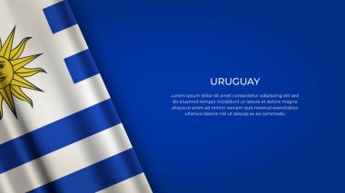 Orijinal Renkli Uruguay Bayrağı