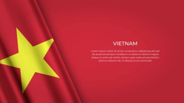 Orijinal Renkli VİETNAM Bayrağı
