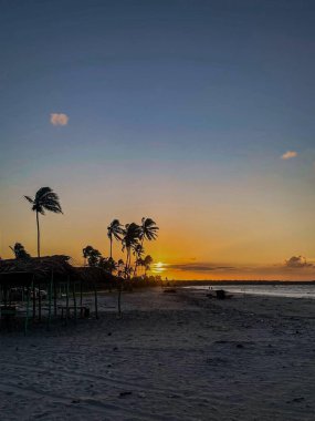 sunset at lucena beach in paraiba - brazil. In the picture: coconut trees, sand and a man fishing in the distance clipart