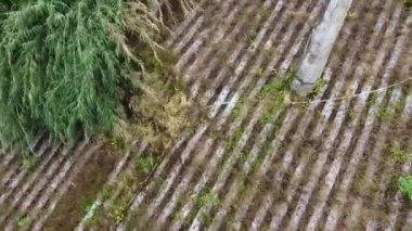 Merkezinde büyük bir taş ya da anıt bulunan, sıra sıra ekinlerle dolu bir tarım arazisinin havadan görünüşü. Arazi plastik gübre ile bölümlere ayrılıyor ve sıralarda yeşil bitkiler büyüyor..