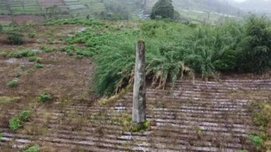 Merkezinde büyük bir taş veya anıt bulunan, sıra sıra ekinlerle dolu bir tarım arazisinin havadan görünüşü. Legetang, Dieng Platosu 'nda toplu mezar.