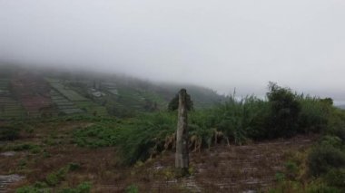 Uzun, yıpranmış bir taşın yemyeşil bir bitki örtüsünün ortasında tek başına durduğu sisli bir manzara. Arka planda sis tarafından kısmen gizlenmiş teraslı alanlar görülüyor. Huzurlu ve gizemli bir atmosfer yaratıyor..