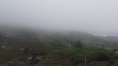 Tepenin yamacında teraslı araziler olan sisli bir manzara. Sahne sisle örtülmüş, sakin ve sakin bir atmosfer yaratıyor. Tarlaların yeşilliği gri gökyüzü ile çelişiyor. Bu da serin bir iklim olduğunu gösteriyor..