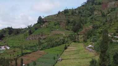 Yamaçtaki tarımsal tarlaların havadan görünüşü, yemyeşil ekinler ve kahverengi toprak parçalarının yer aldığı bir tepe. Manzara ağaçlar ve küçük yapılarla dolu, canlı bir kırsal tarım ortamı sergiliyor..