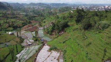 Çeşit çeşit ekin ve tarım uygulamalarının sergilendiği yemyeşil tarım alanları ve tepe arazilerinin havadan görünüşü. Manzarada teraslı tarım, bitki örtüsü ve bölgeye dağılmış birkaç yapı yer alıyor..