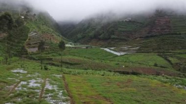 Tarlaları ve ekinleri olan sisli bir tarımın havadan görünüşü. Sahne sisle örtülmüş, sakin ve sakin bir atmosfer yaratıyor. Yeşilin ve kahverenginin çeşitli tonları görülebilir, bu da farklı bitki ve çiftçilik türlerini gösterir.